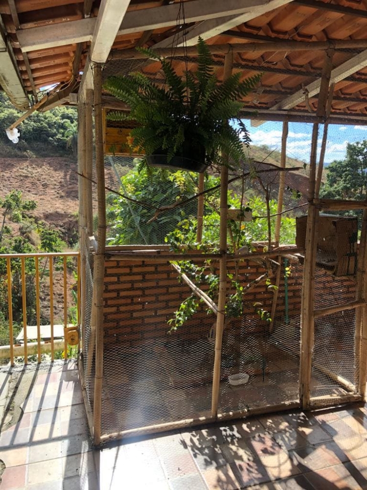 Foto de Casa de Apoio Sementes do Amor