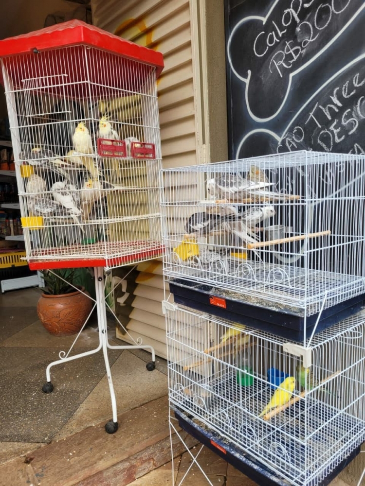 Foto de Pet Shop Cão Cuidado