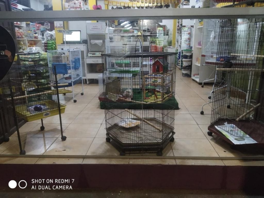 Foto de Recanto do Animal