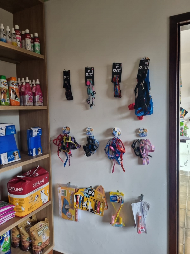 Foto de Conexão Pet