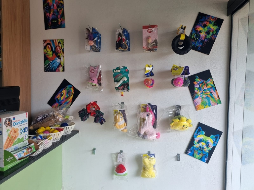 Foto de Conexão Pet