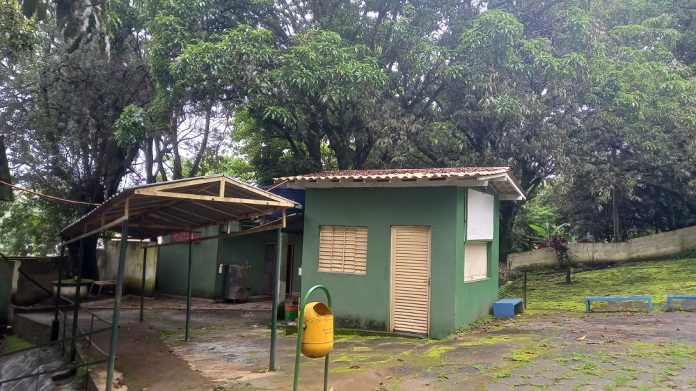 Foto de Criança Feliz