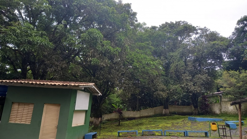 Foto de Criança Feliz