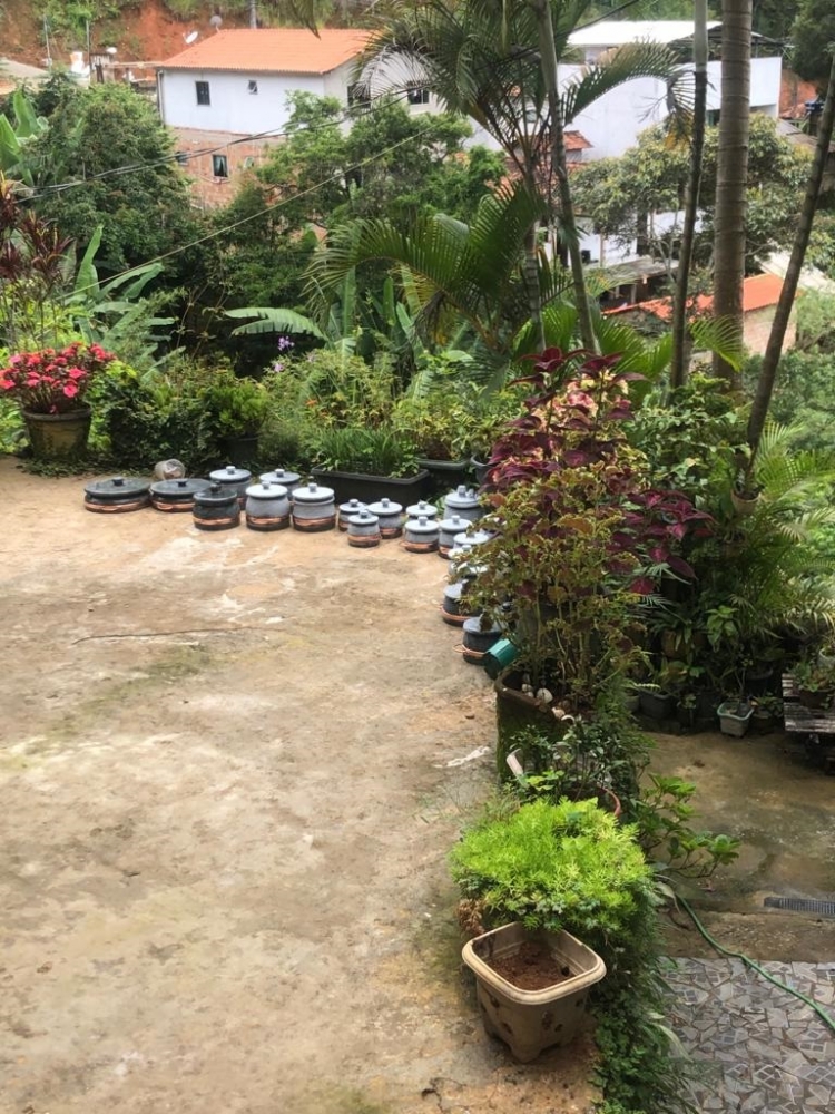 Foto de LN Porta A Porta