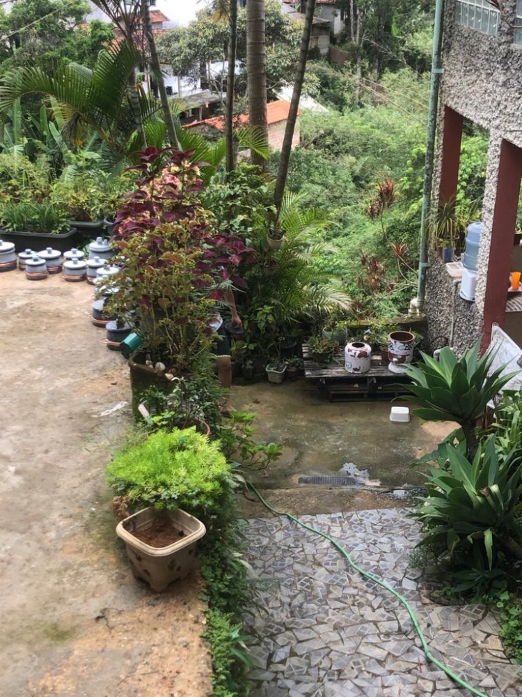 Foto de LN Porta A Porta