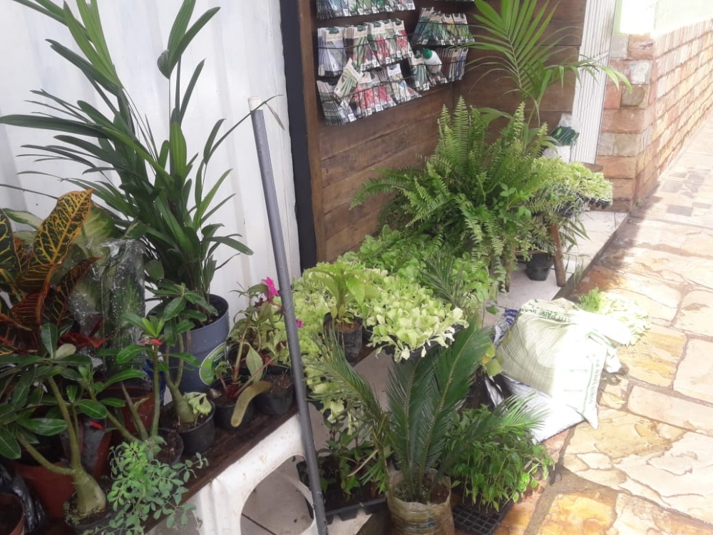 Foto de Comercial Pinheiro
