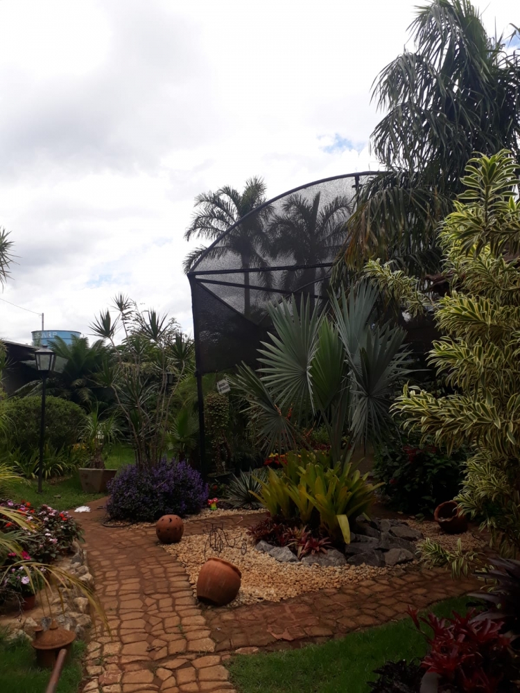 Foto de Floricultura Amélia