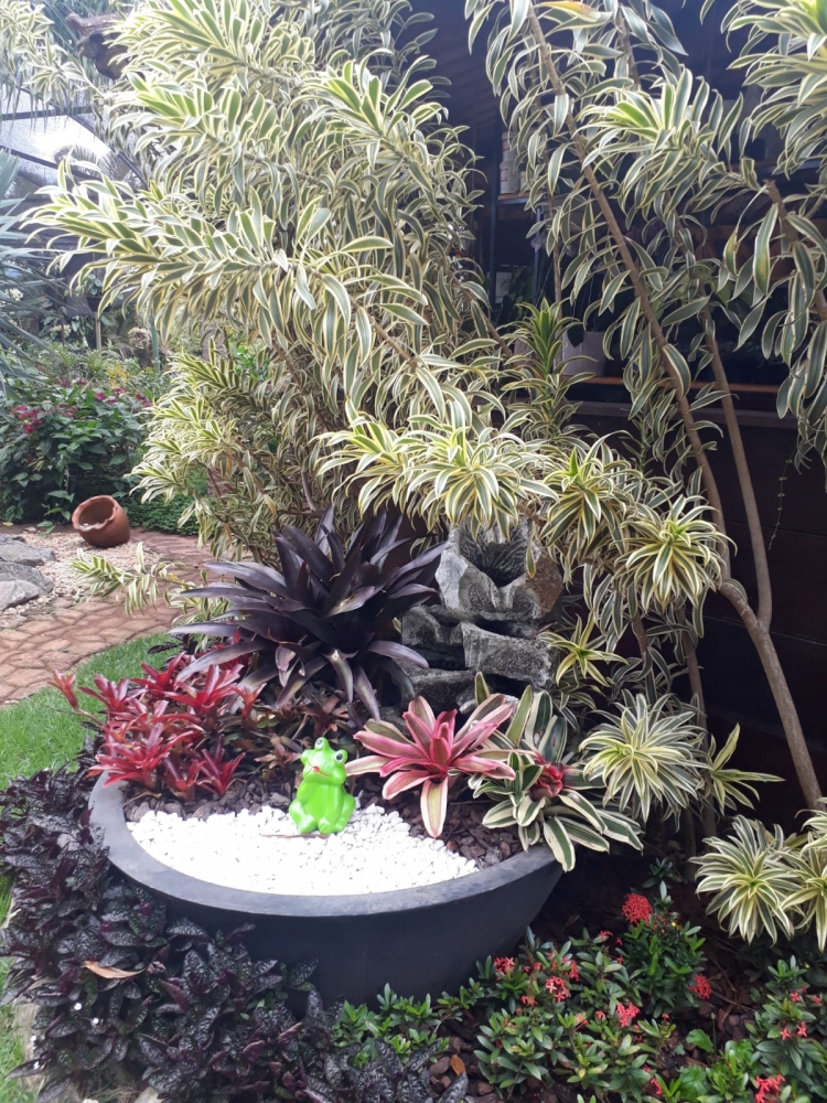 Foto de Floricultura Amélia