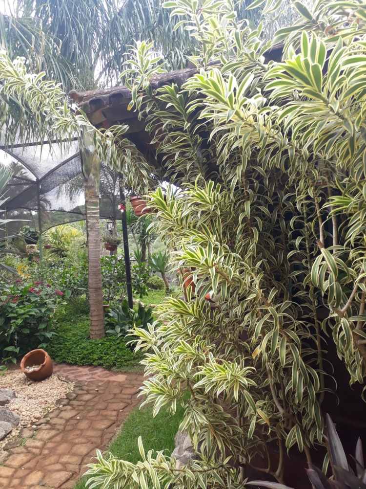 Foto de Floricultura Amélia