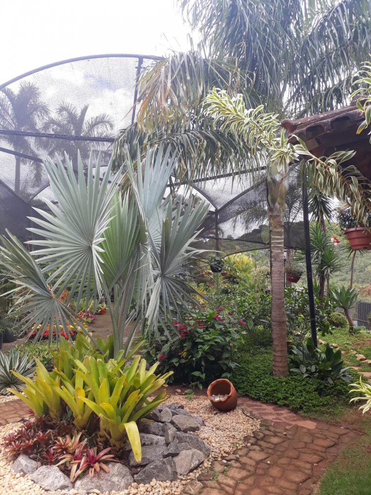 Foto de Floricultura Amélia