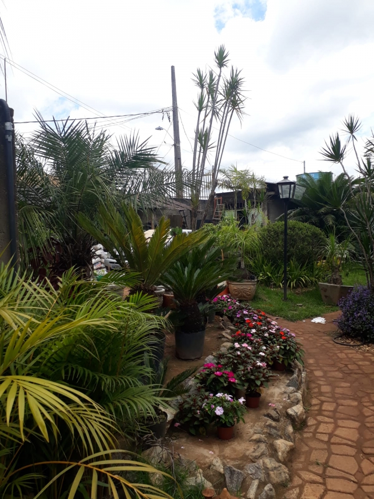 Foto de Floricultura Amélia