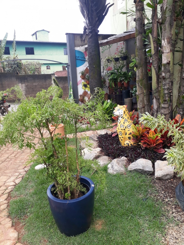 Foto de Floricultura Amélia