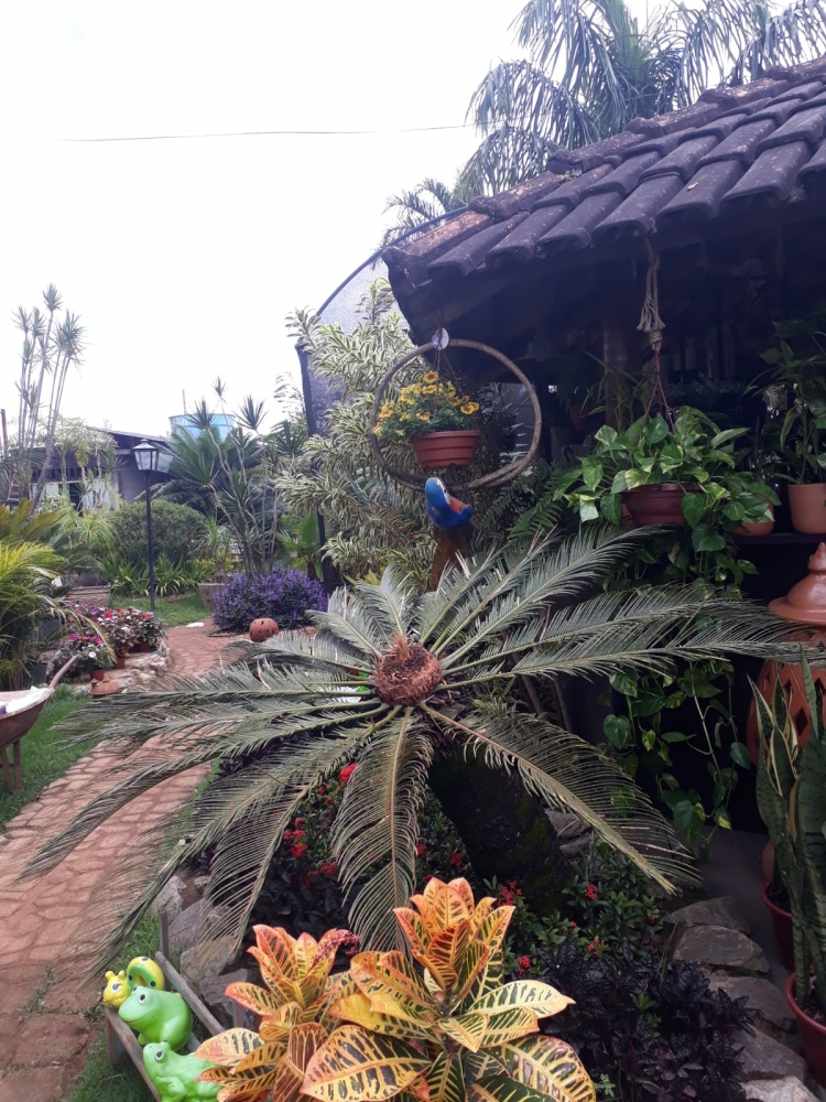 Foto de Floricultura Amélia