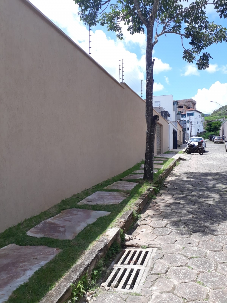 Foto de LER