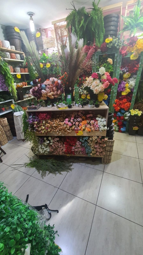 Foto de Artexpressa
