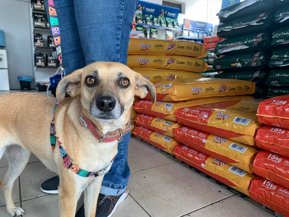 Foto de Habitat - Clínica Veterinária e PetShop