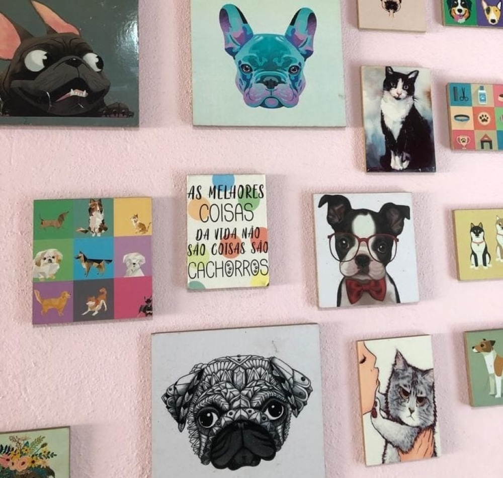 Foto de Pet Shop Mundo é o Bicho