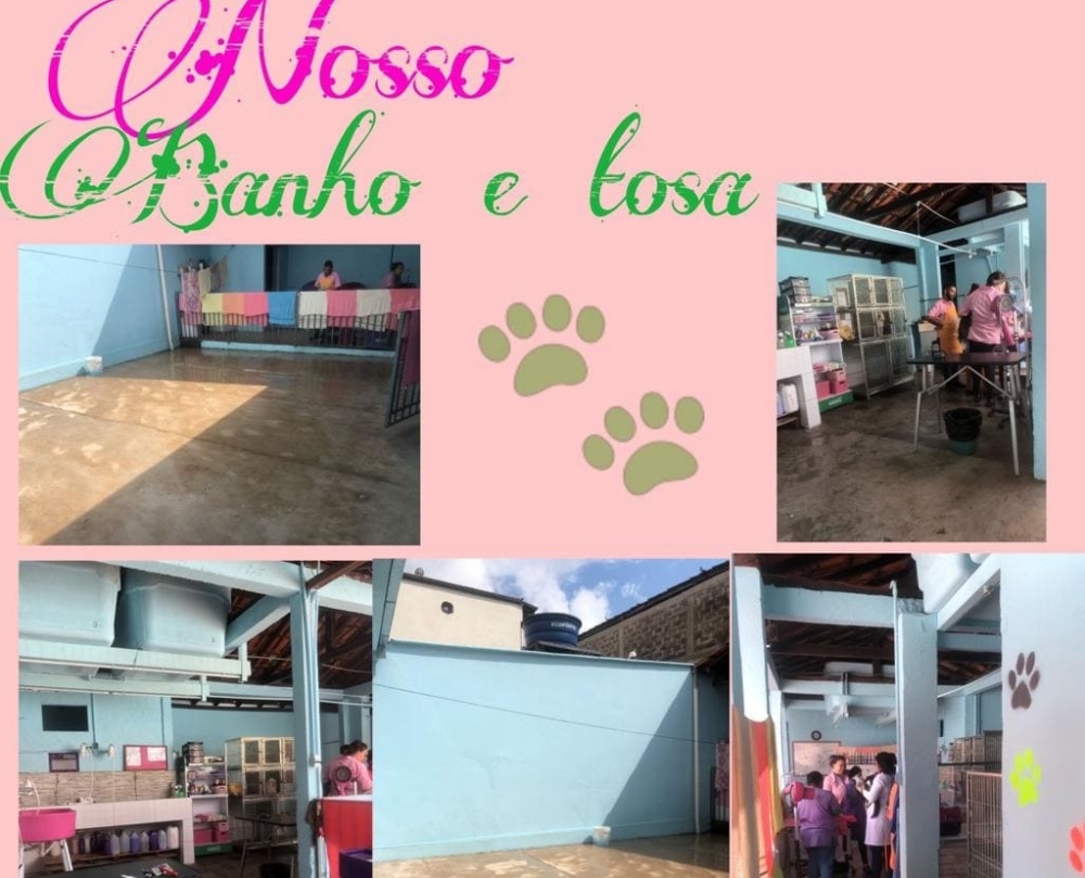 Foto de Pet Shop Mundo é o Bicho