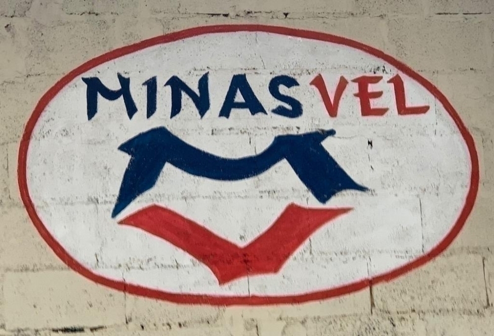 Logo Minasvel
