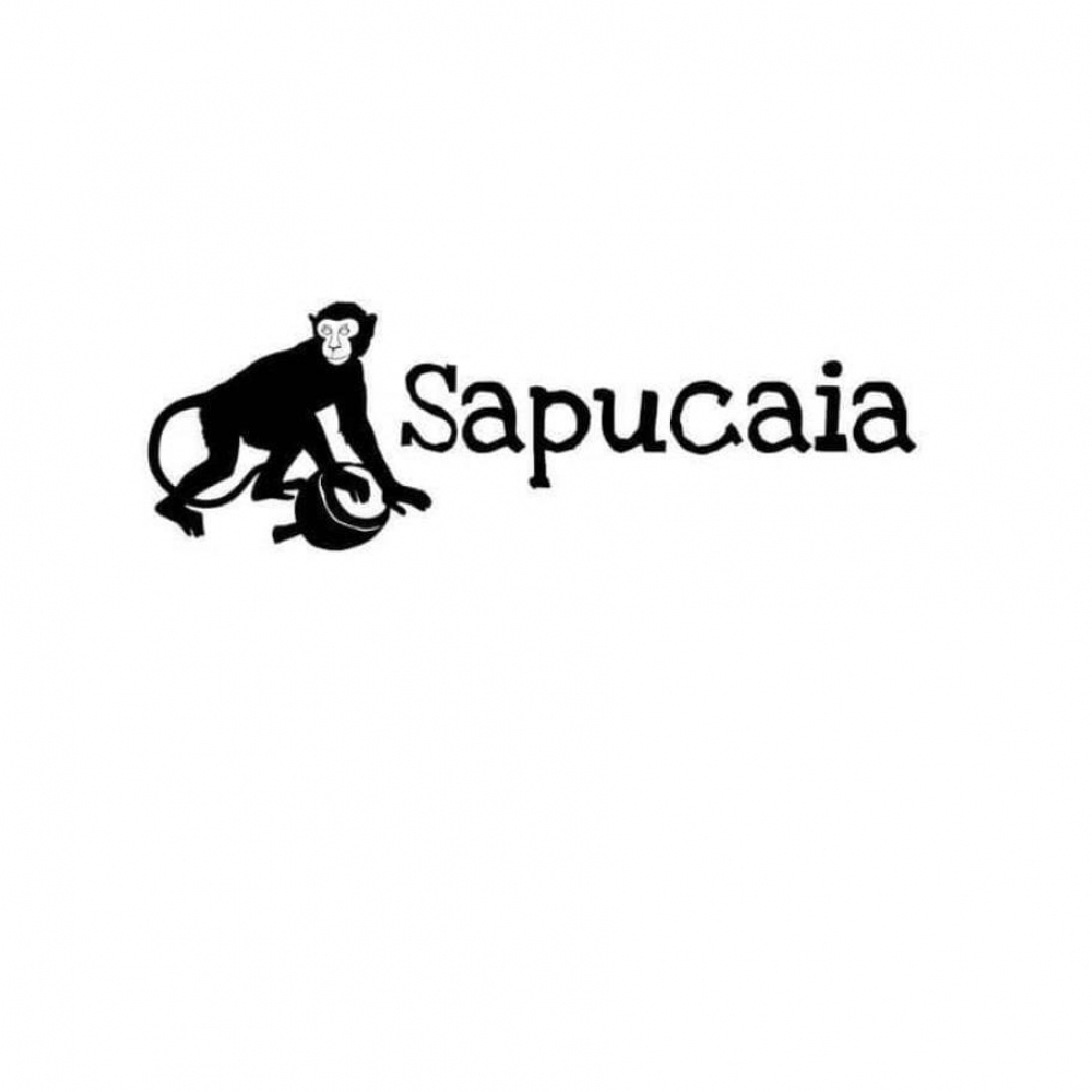 Logo Sapucaia