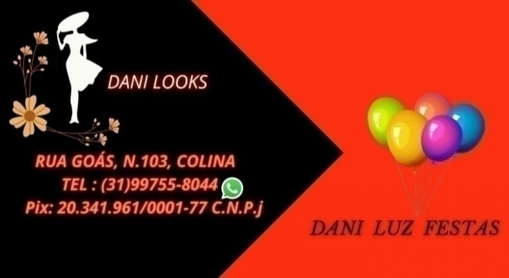 Logo Dani Luz Festa