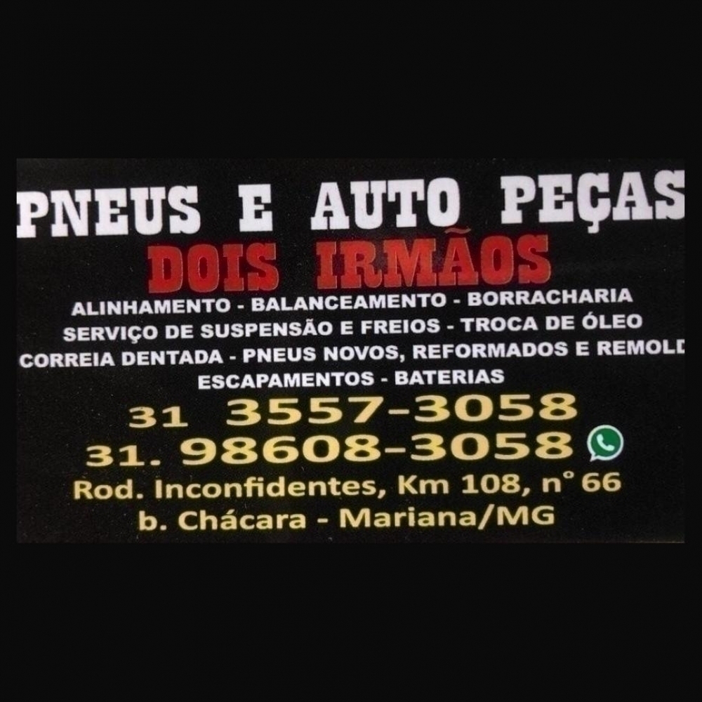 Logo Pneus e Auto Peças Dois Irmãos