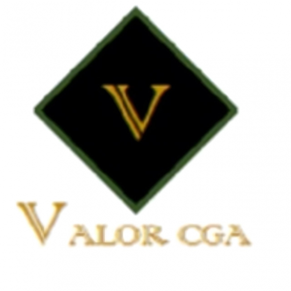 Logo Valor Contabilidade & Gestão Administrativa