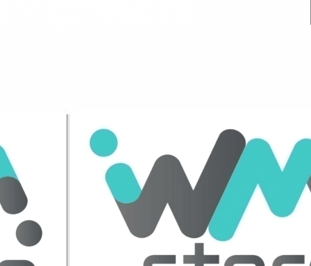 Logo WM Store